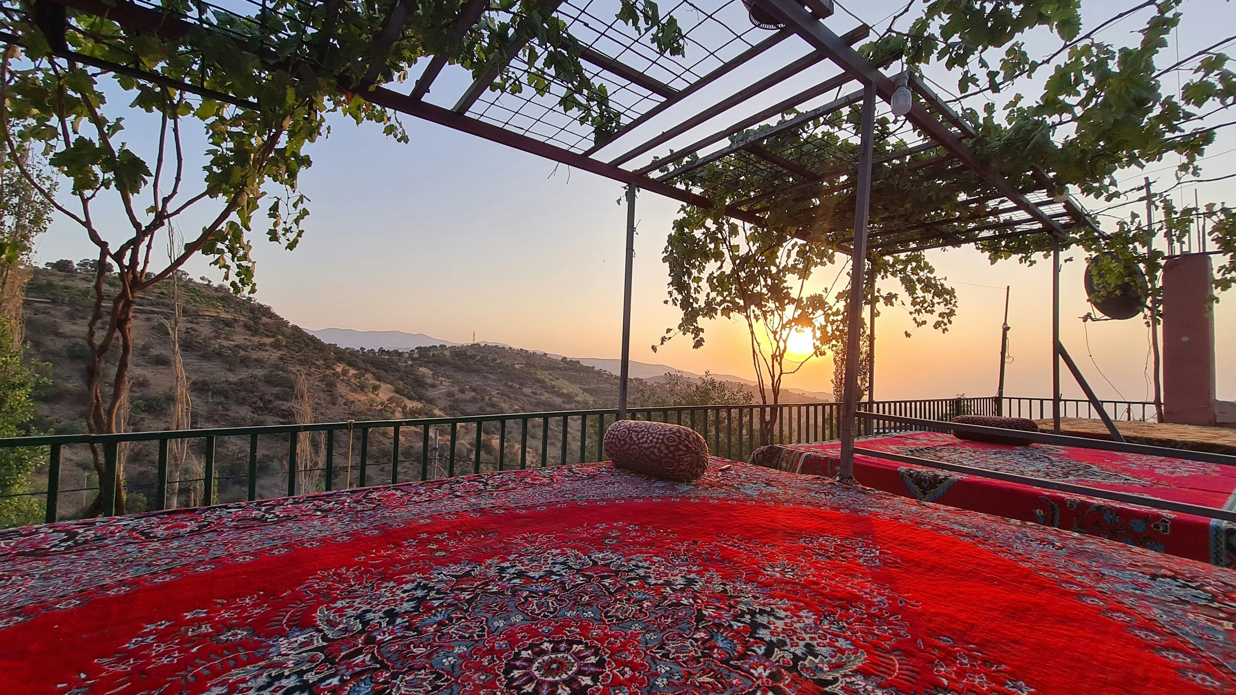 Das Foto wurde im Nahen Osten aufgenommen, wo Schwarzkümmel sehr beliebt ist und Teil alter Traditionen ist.