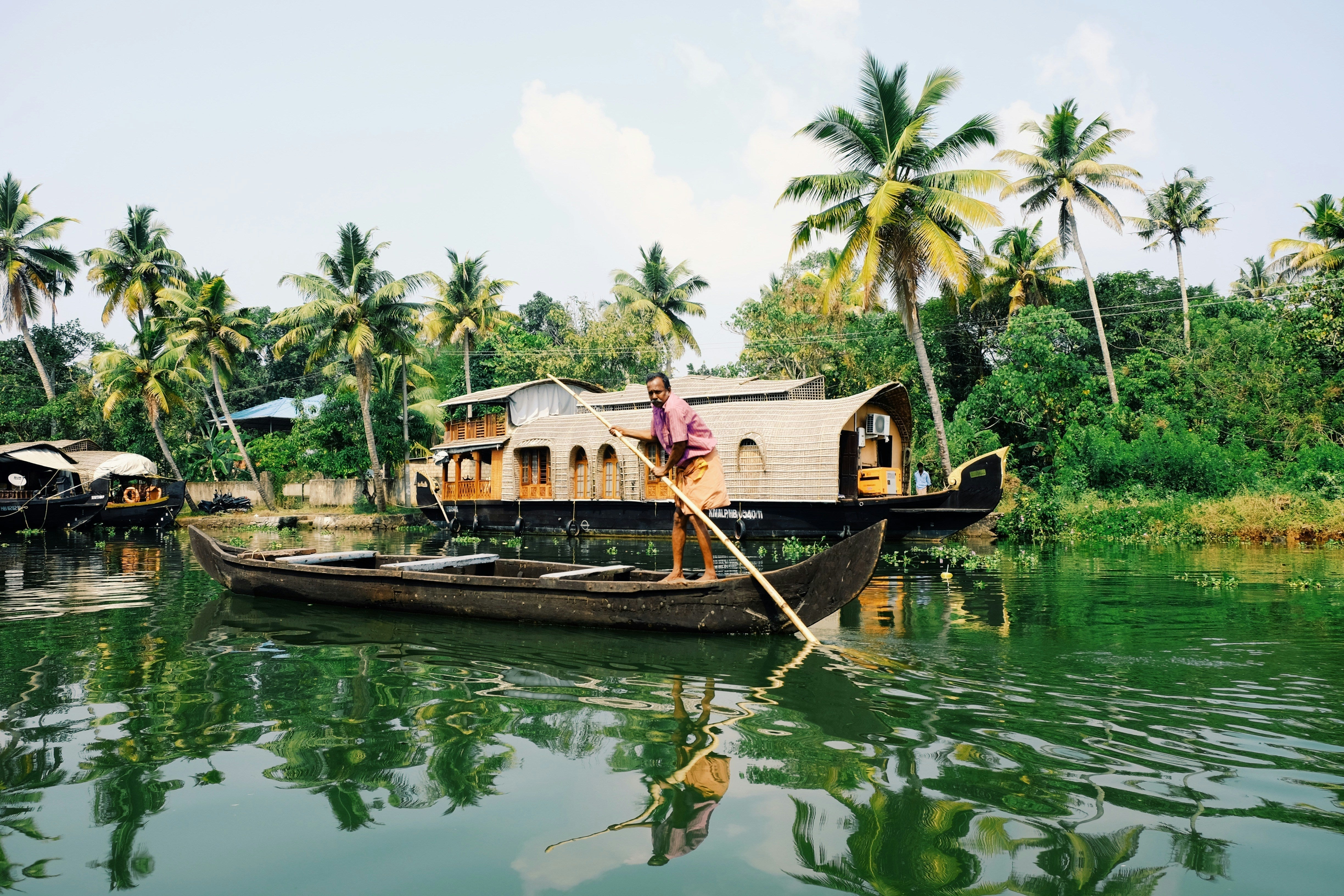 Ein Mann steht auf einem traditionellen Holzboot und rudert durch die grünen Wasserkanäle der künstlichen Backwaters in Kerala, Indien. Moringa und Ashwagandha wachsen seit vielen Jahren in diesen tropischen und subtropischen Regionen Indiens.