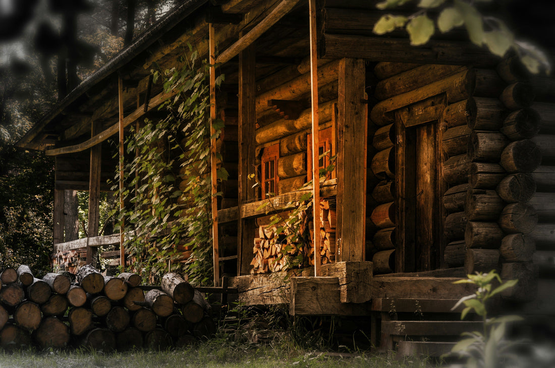 Ein Haus in naturnaher Umgebung, das sich sehen lassen kann. In solchen naturnahen Gebieten in Europa können Hagebutten wachsen.