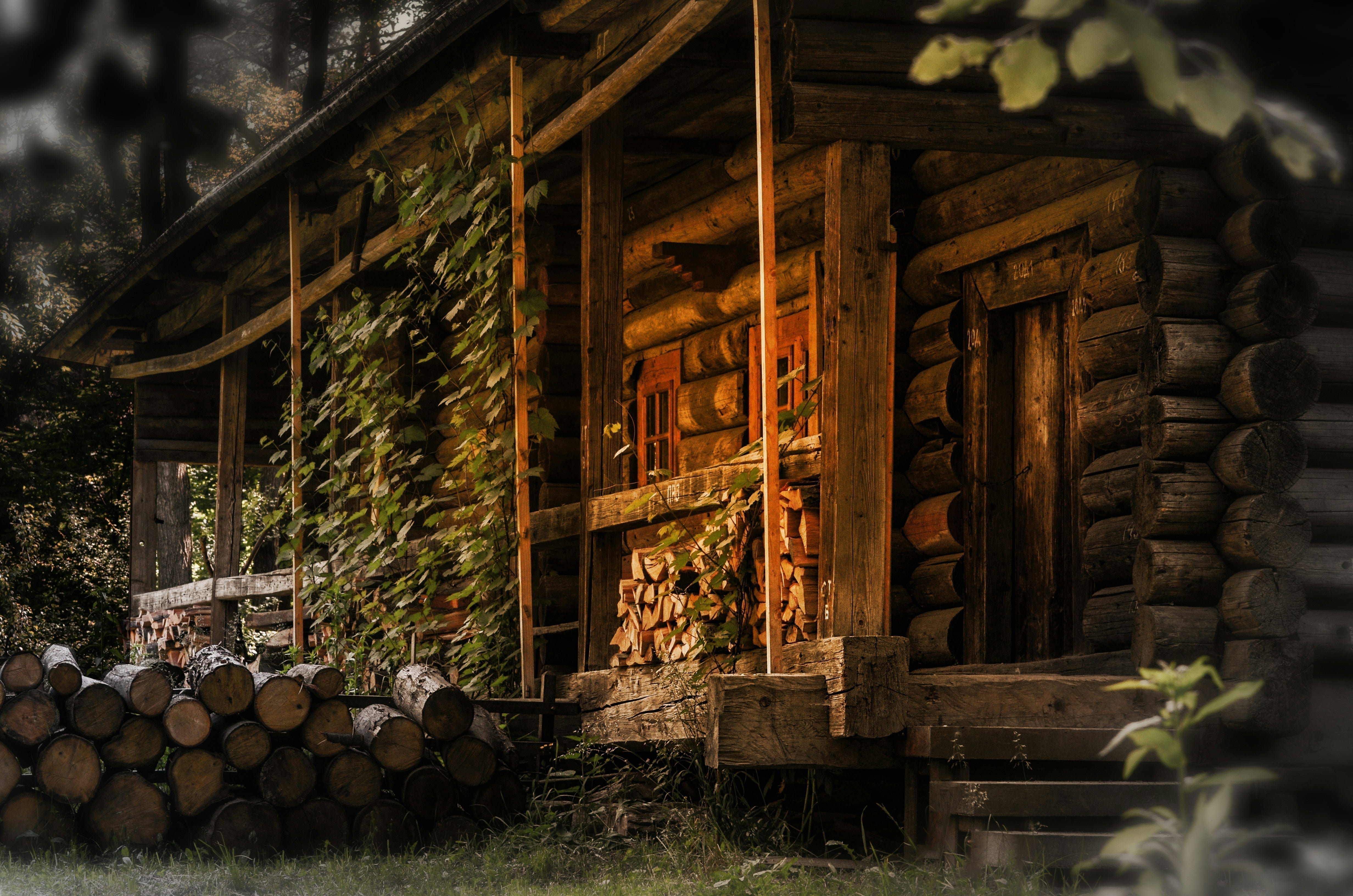 Ein Haus in naturnaher Umgebung, das sich sehen lassen kann. In solchen naturnahen Gebieten in Europa können Hagebutten wachsen.