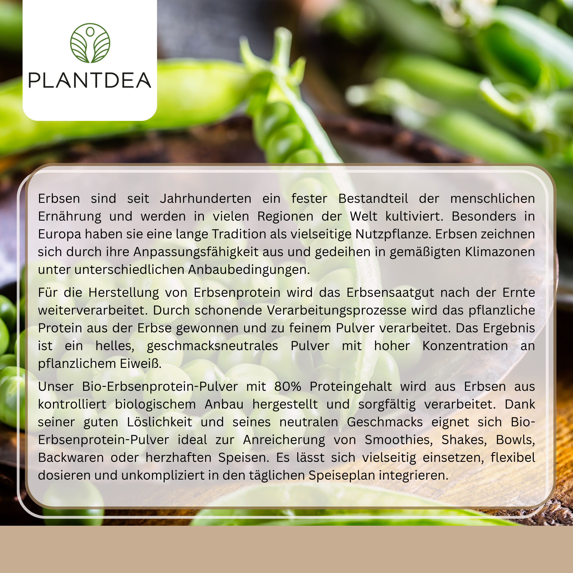 Bio Erbsenprotein Pulver 80% (pea protein)