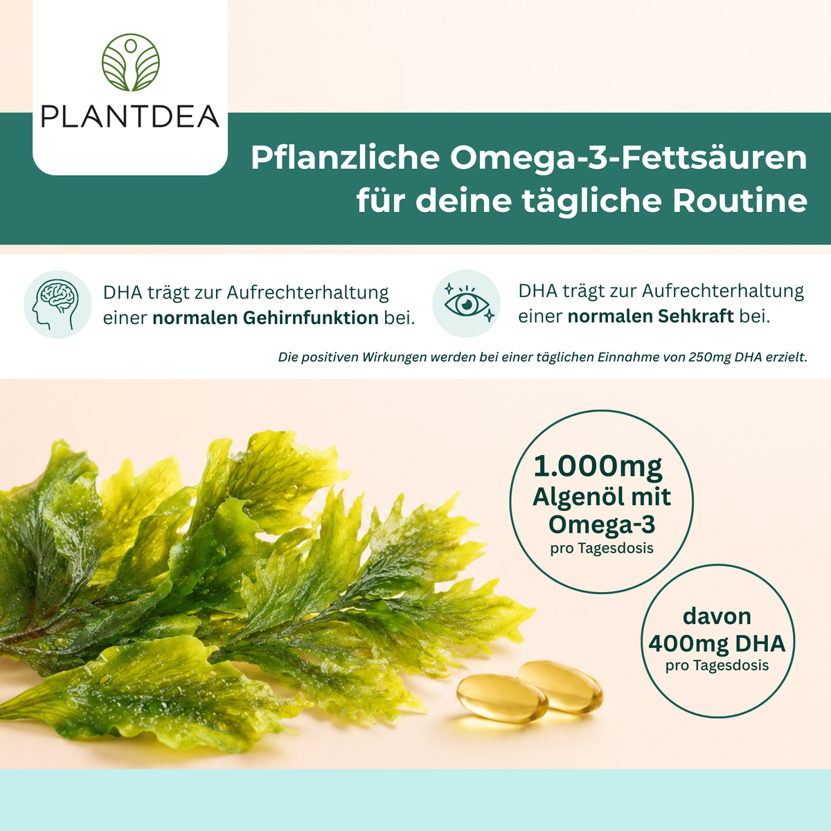Omega 3 Algenöl Kapseln