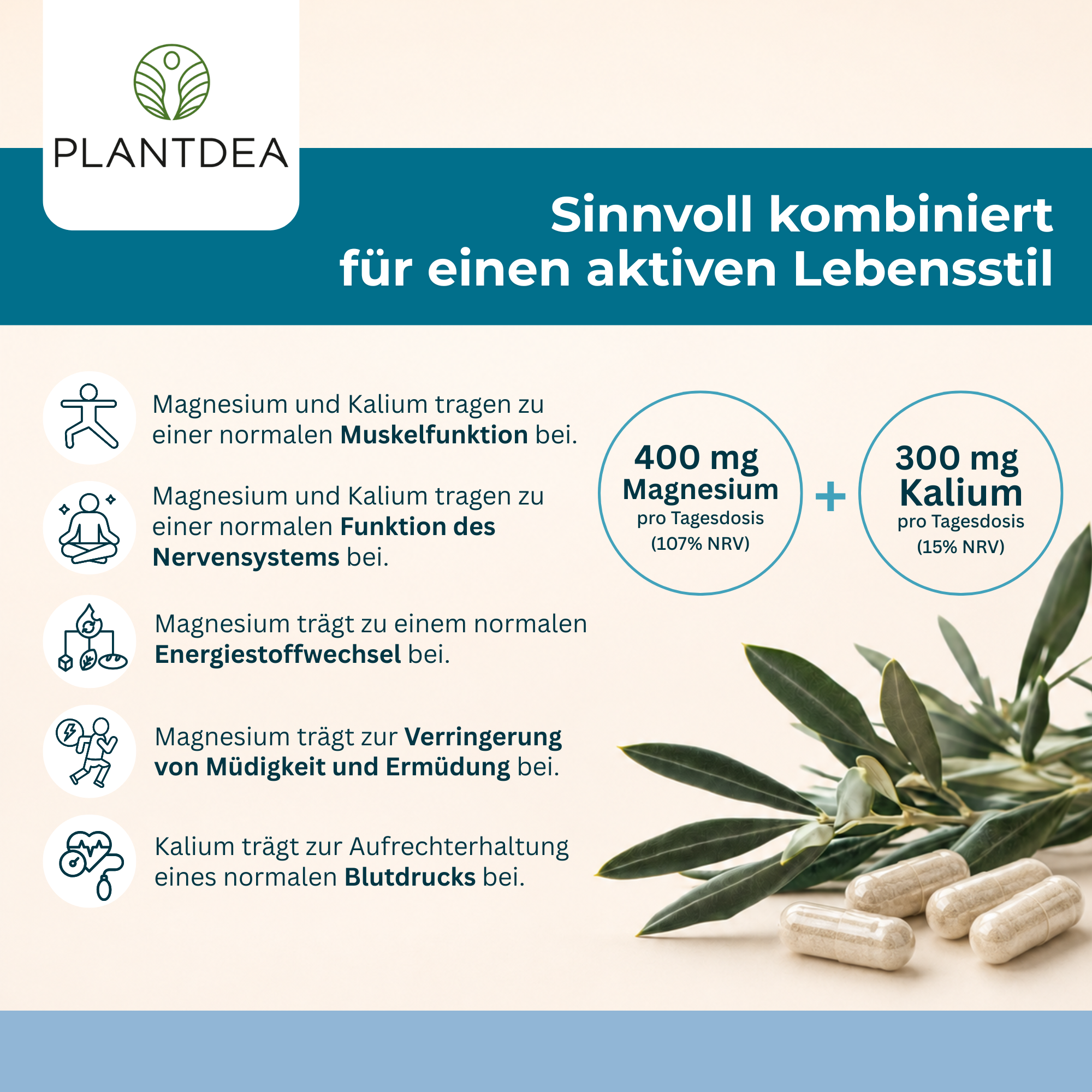 Magnesium + Kalium Kapseln