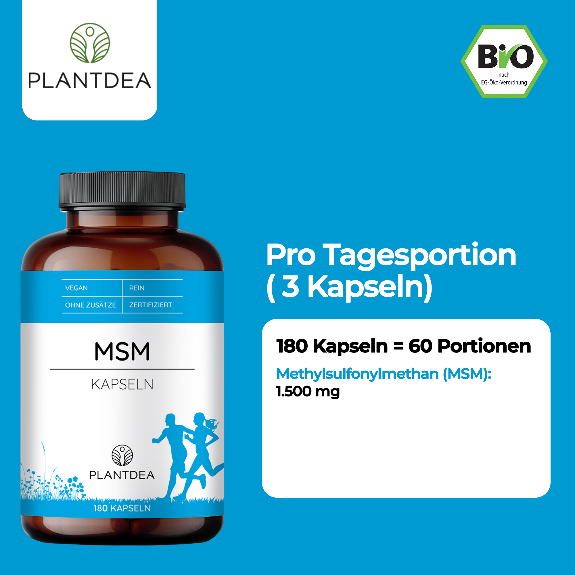 MSM Kapseln