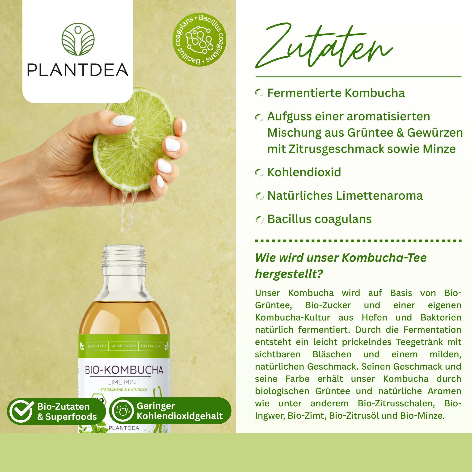 Bio Kombucha Lime Mint