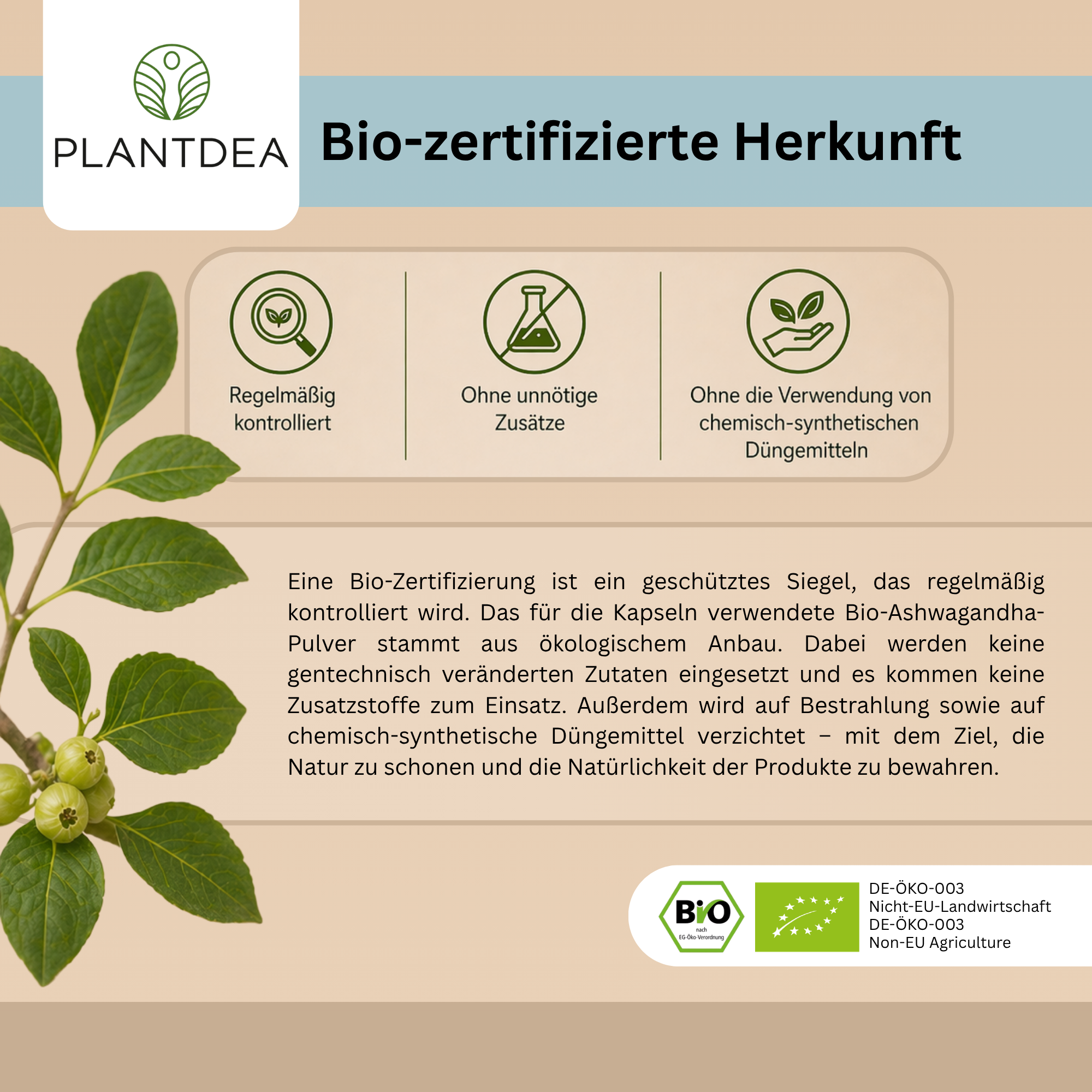 Bio Ashwagandha Kapseln