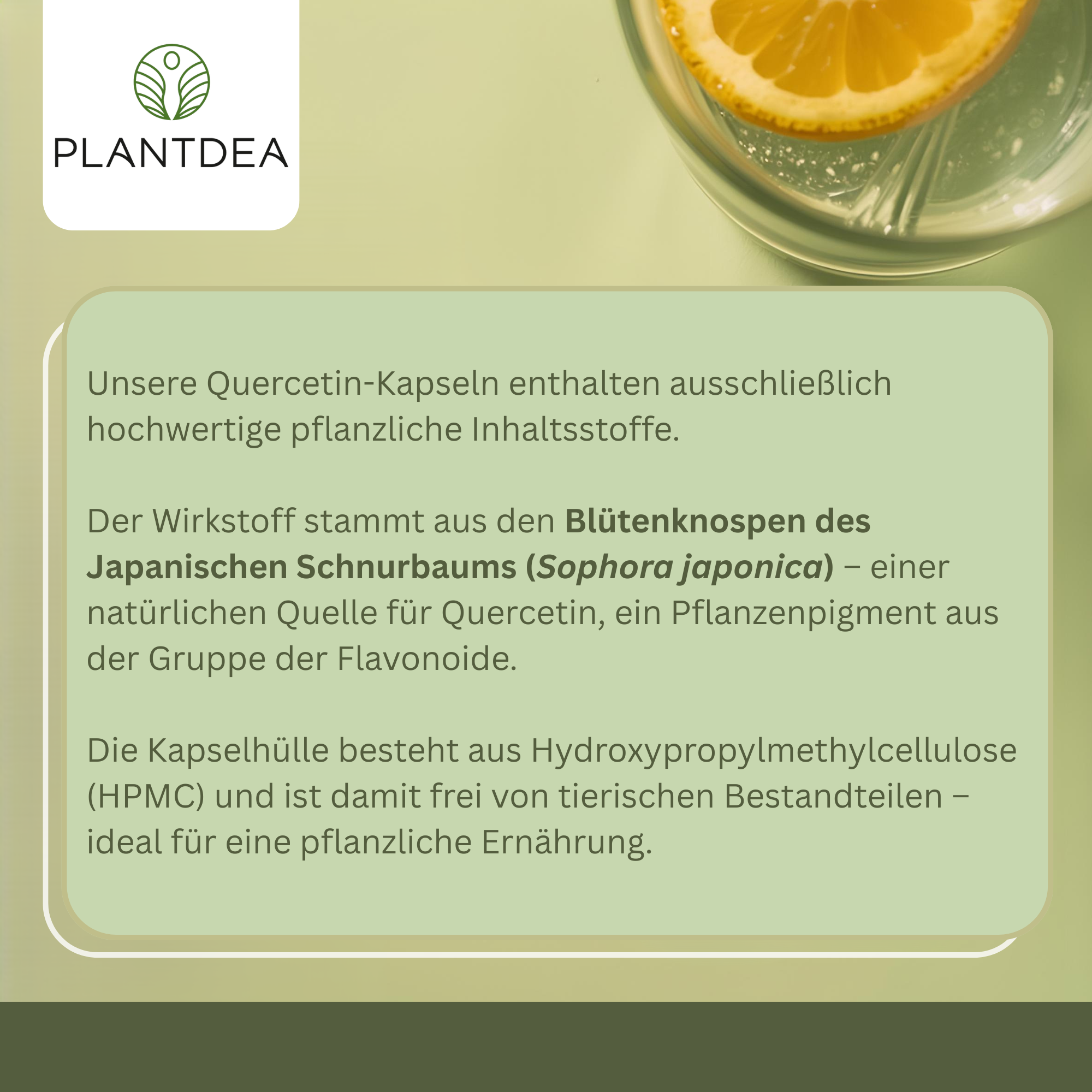 Quercetin Kapseln
