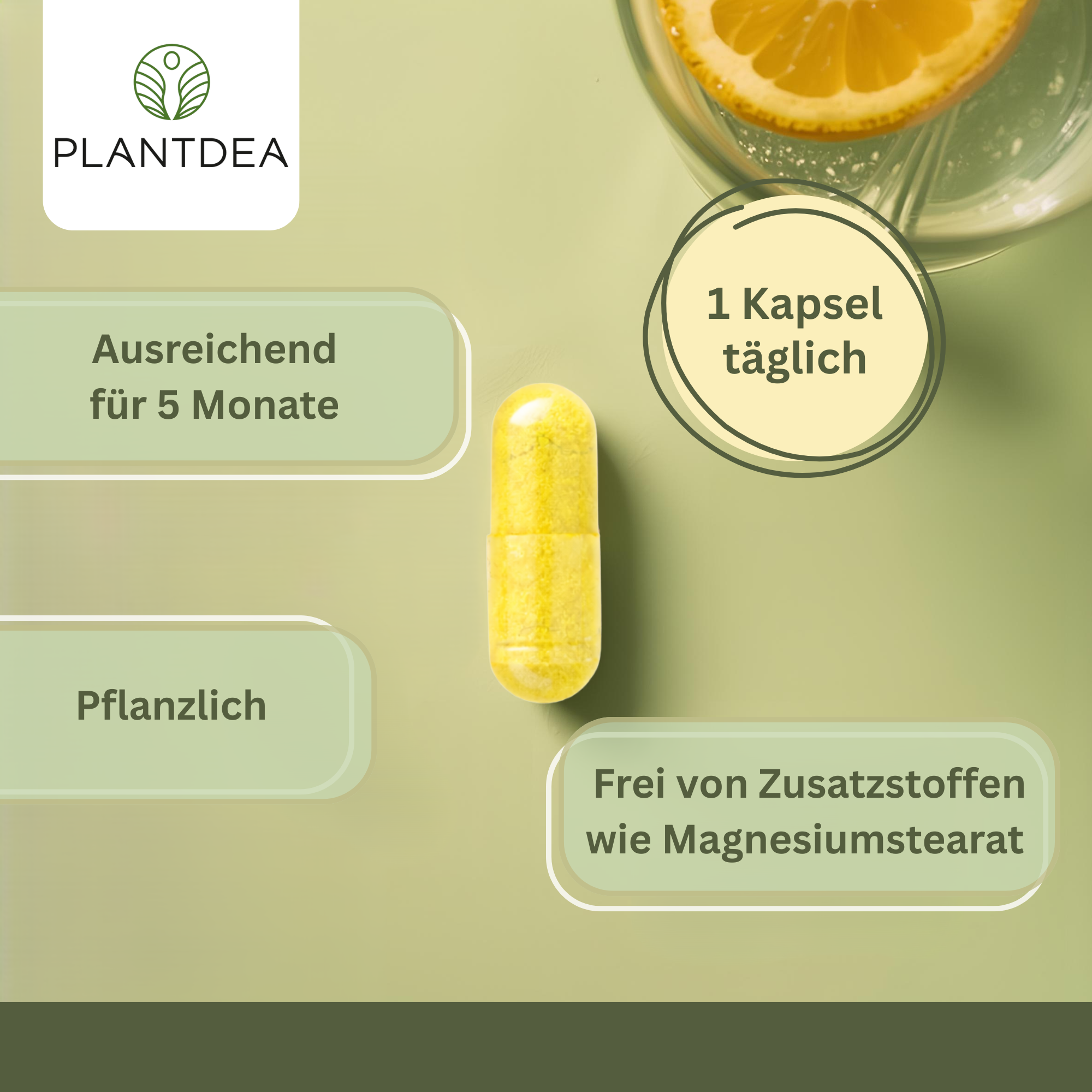 Quercetin Kapseln