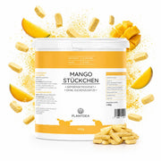 Gefriergetrocknete Mangoscheiben