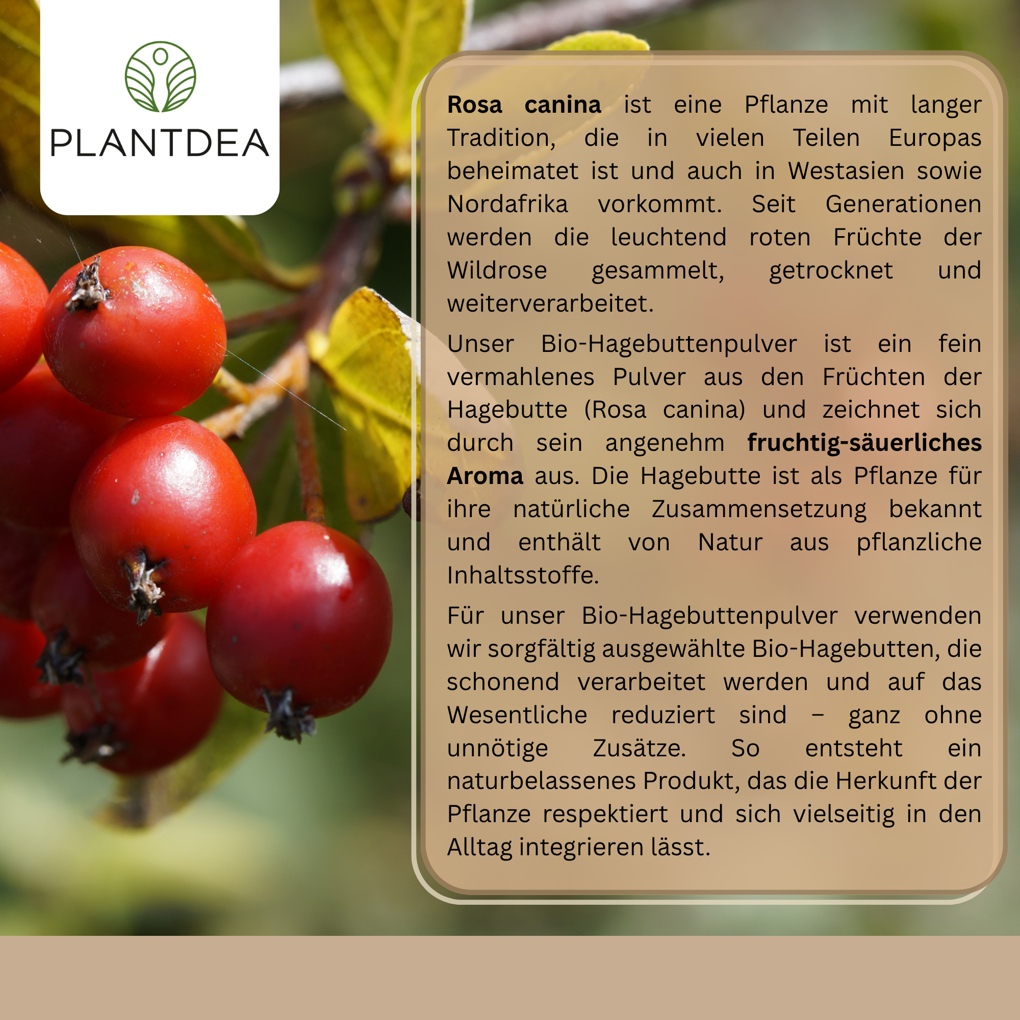 Bio Hagebuttepulver