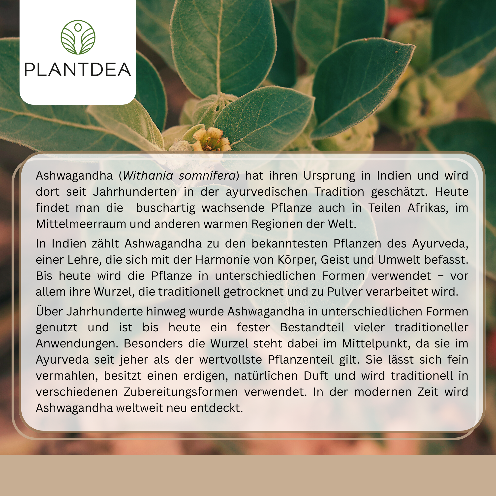 Bio Ashwagandha Pulver