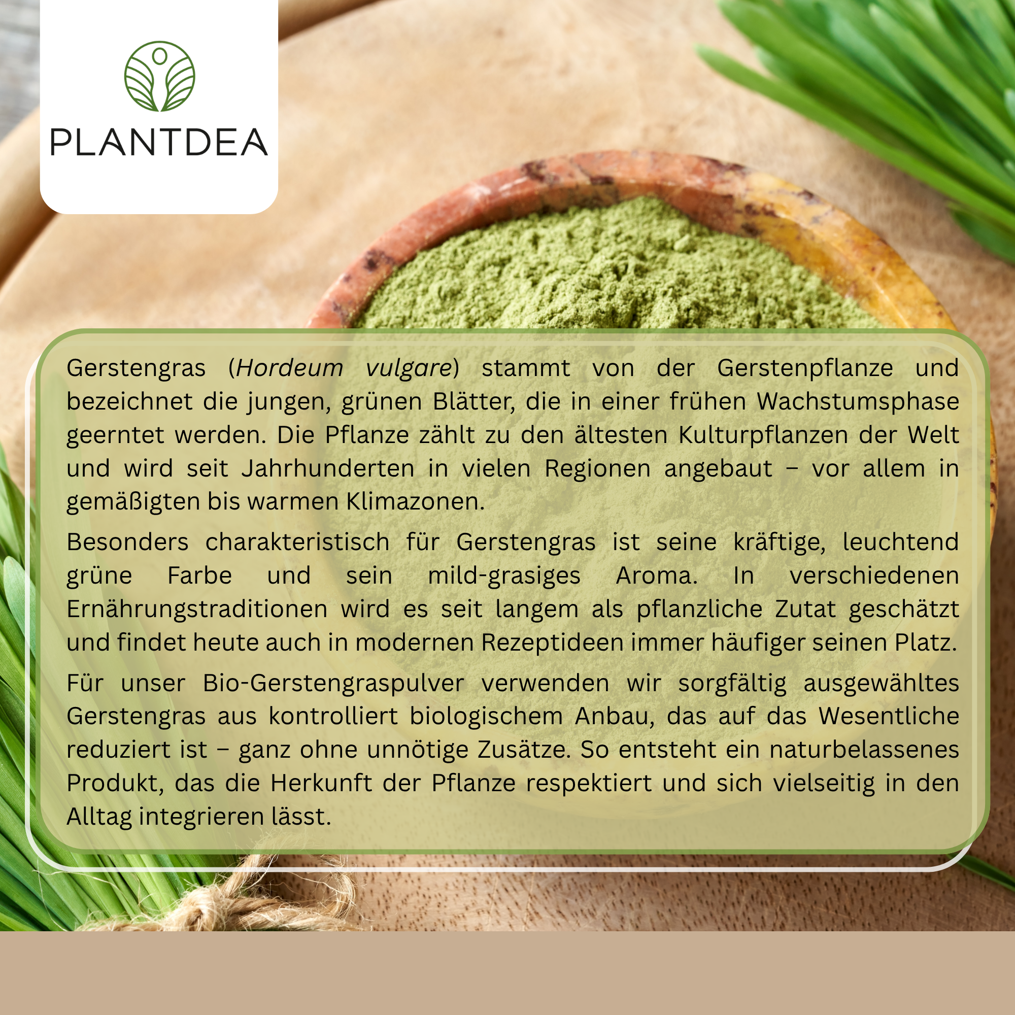 Bio Gerstengraspulver