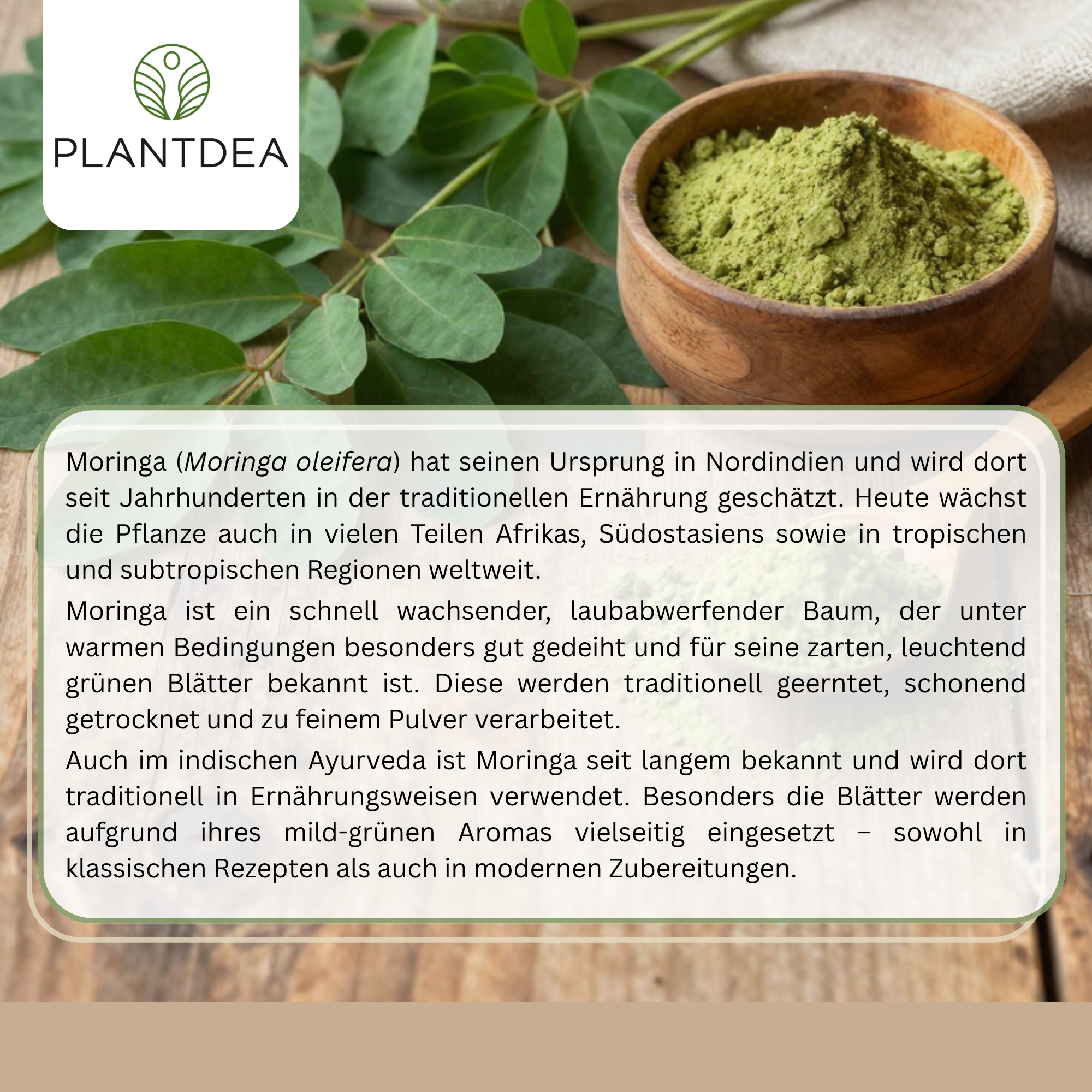 Bio Moringa Pulver