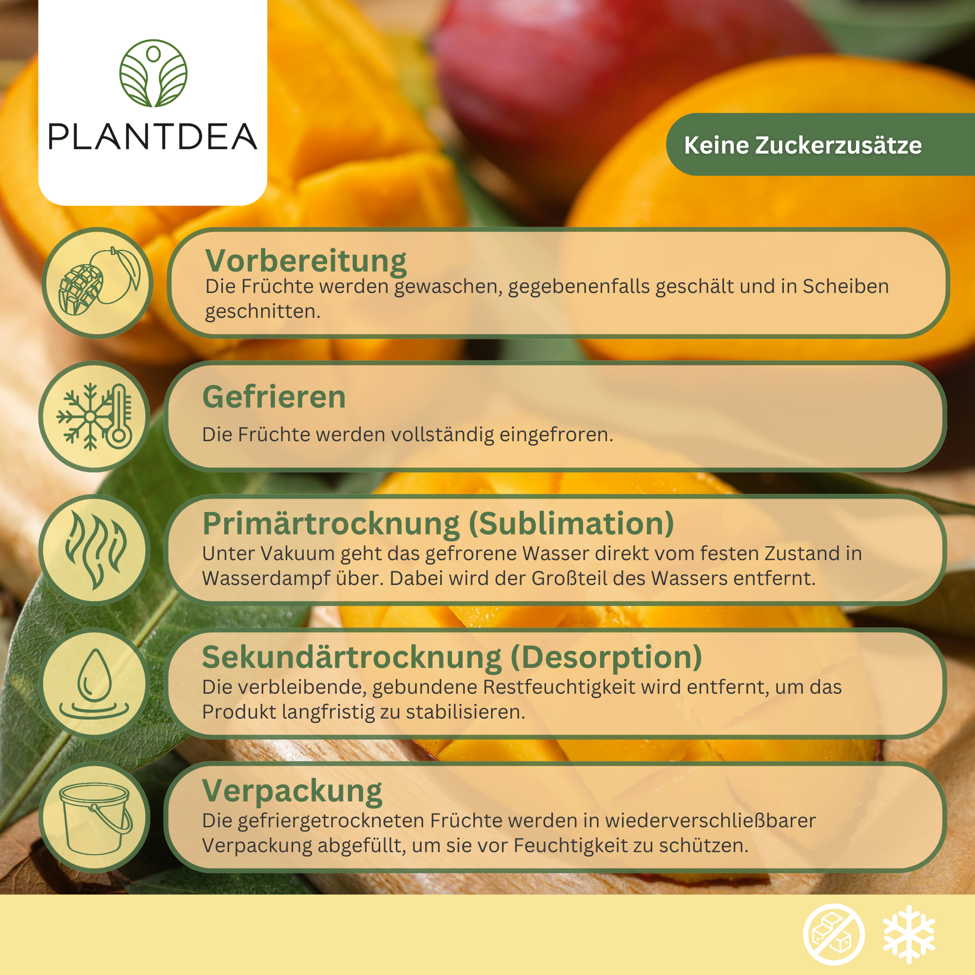 Gefriergetrocknete Mangoscheiben