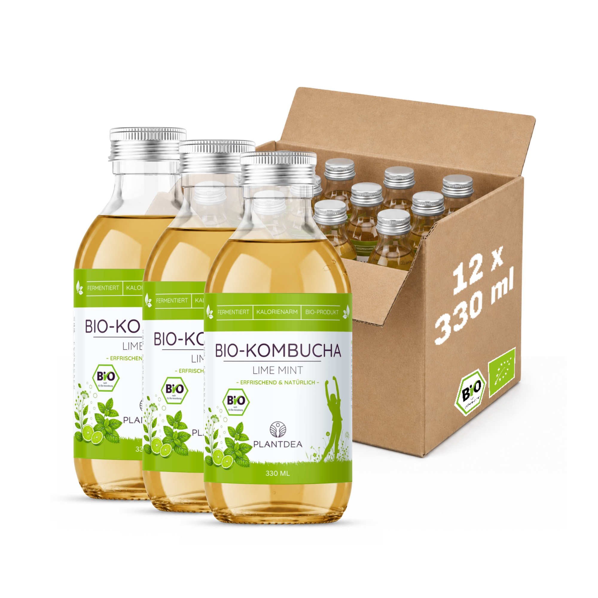 Bio Kombucha Lime Mint